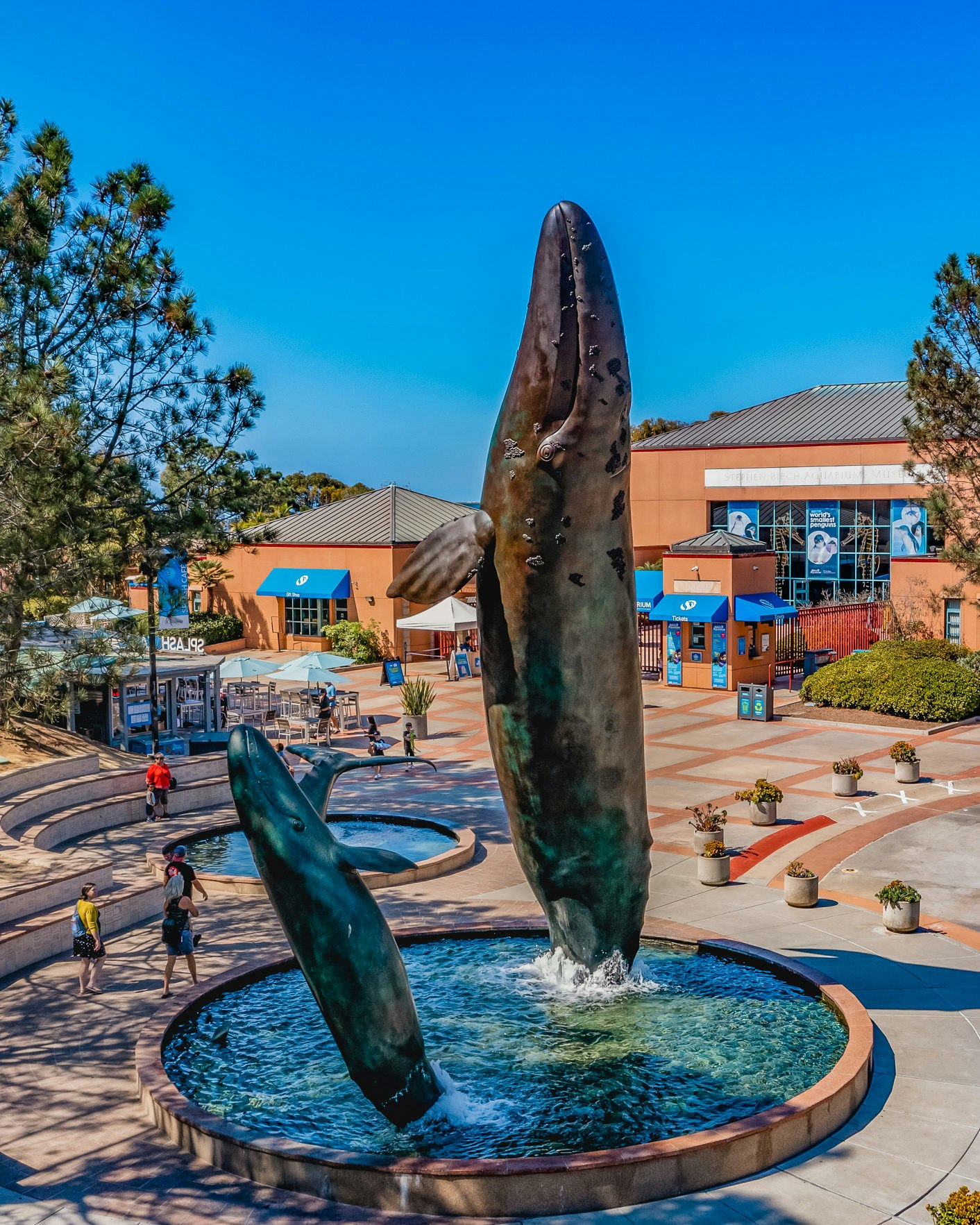 Birch Aquarium