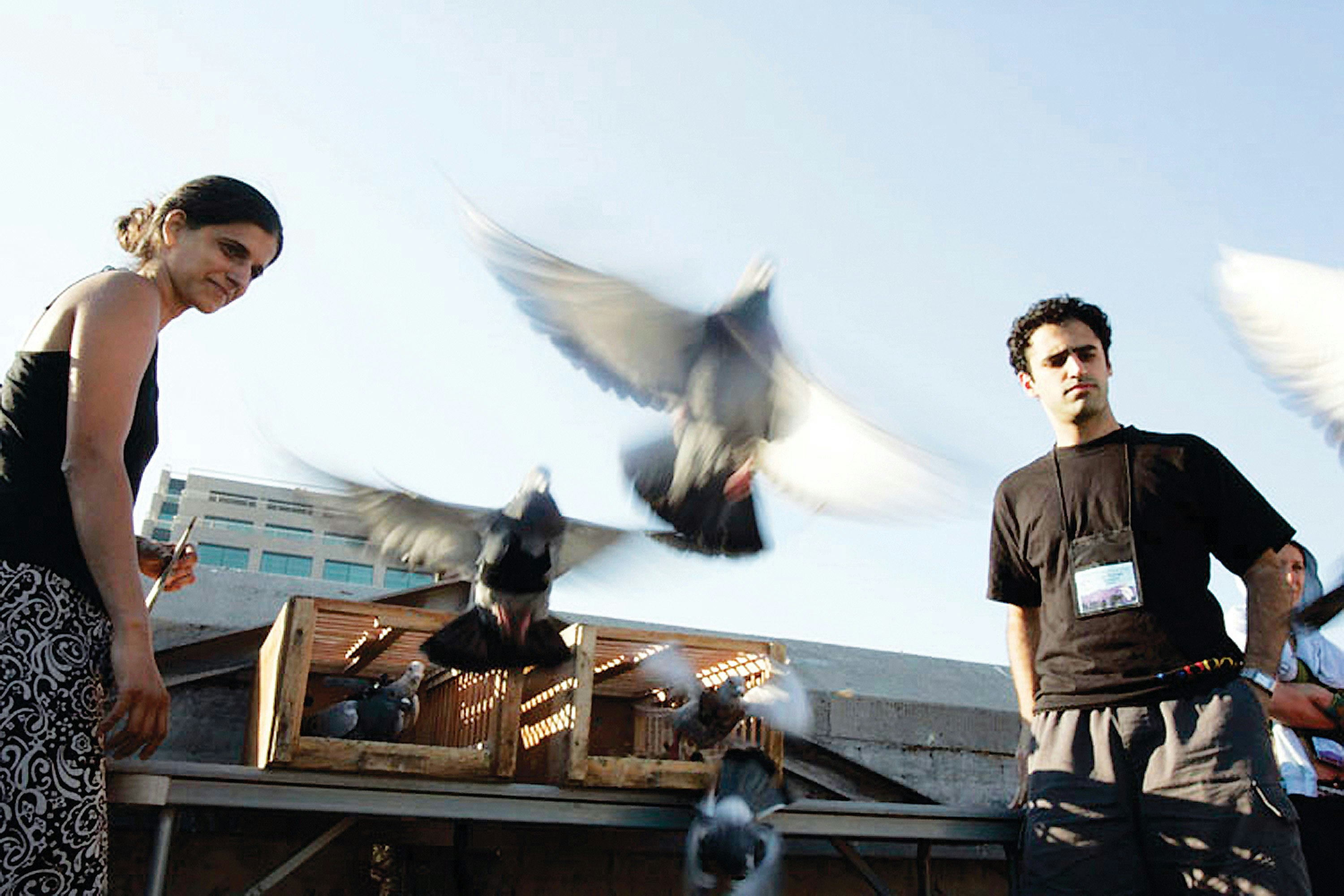 "PigeonBlog" (2006-2008) at 13th International Symposium on Electronic Art ISEA and ZERO1 Festival in San Jose, CA, 2006, Beatriz da Costa. Courtesy of Beatriz da Costa Archive.
